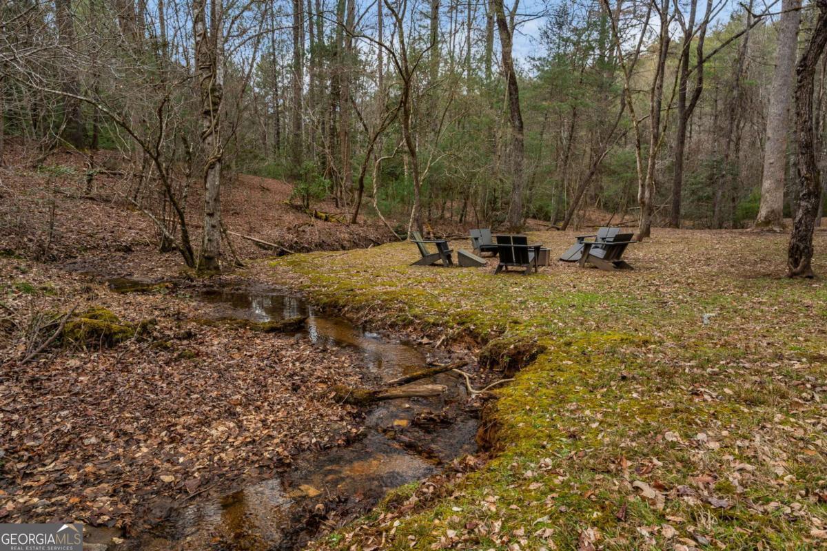 15 Bootleg Mountain Road, Unit 11 Morganton, GA 30560 - Photo 54 of 67