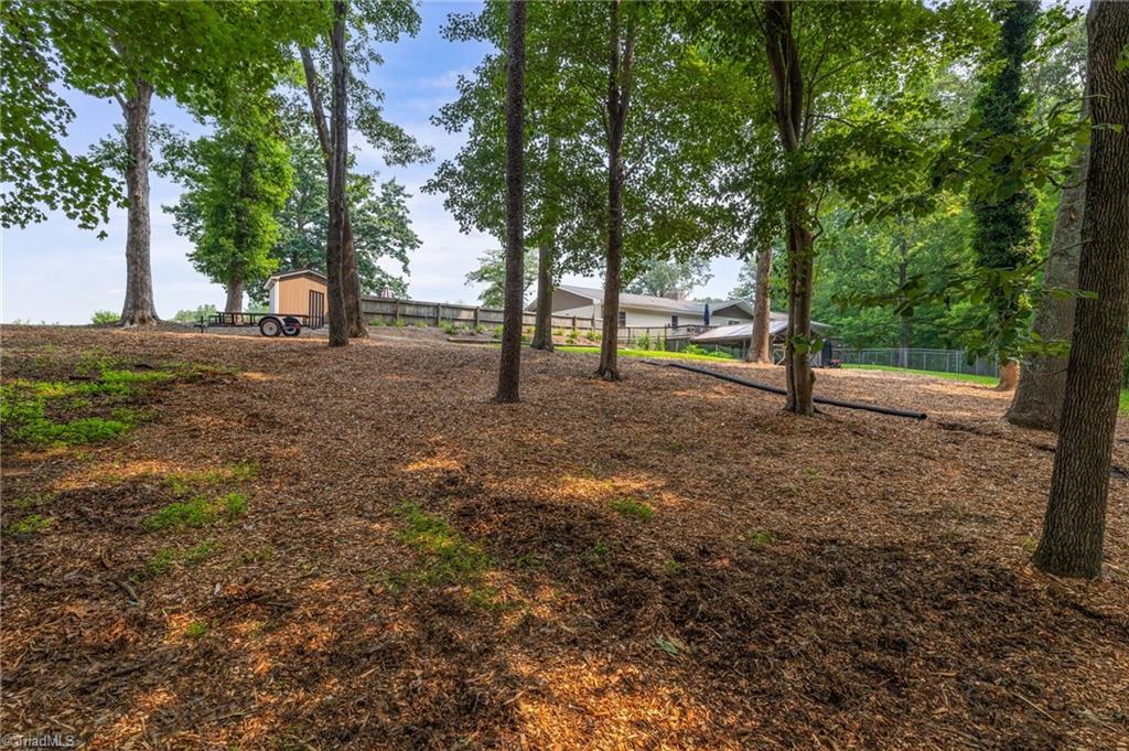550 Pannel Road Reidsville, NC 27320 - Photo 38 of 40 Backyard 2.122 acres