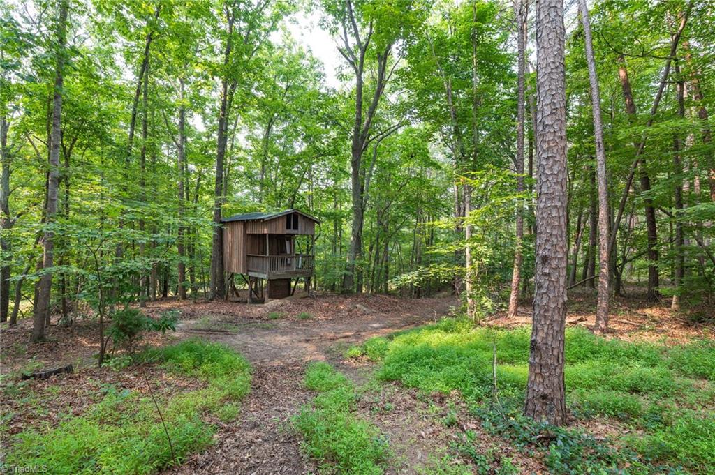 550 Pannel Road Reidsville, NC 27320 - Photo 39 of 40 Treehouse
