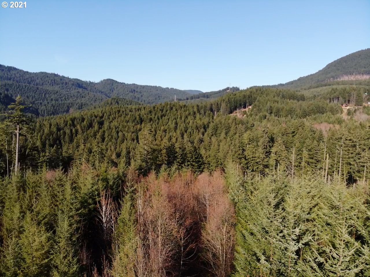 Berge Stevenson, WA 98648 - Photo 4 of 11 Gallery Image 4