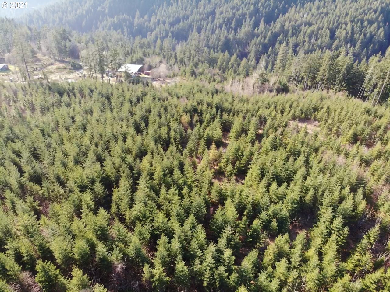 Berge Stevenson, WA 98648 - Photo 5 of 11 Gallery Image 5