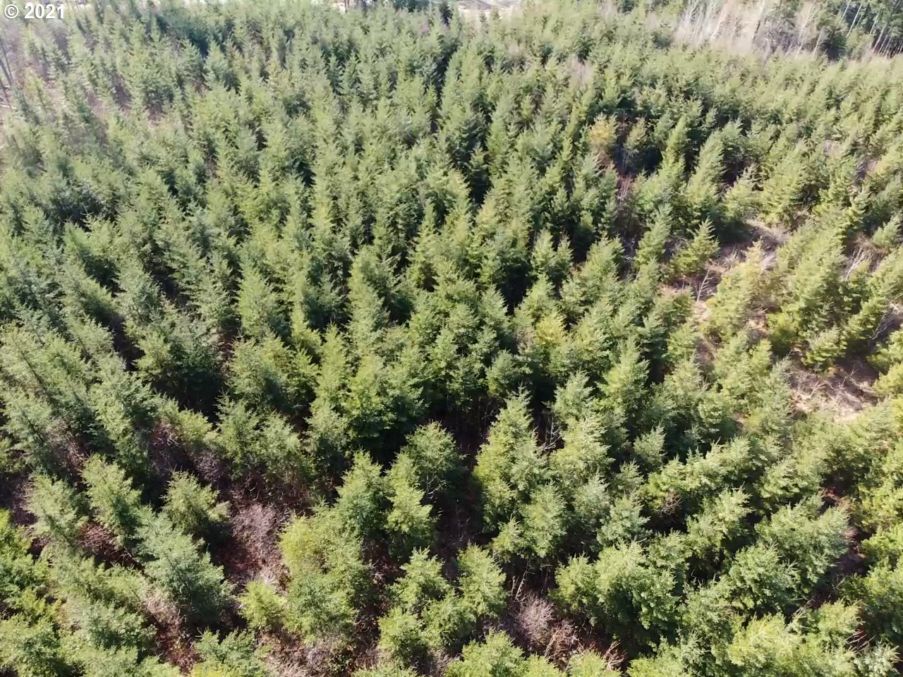 Berge Stevenson, WA 98648 - Photo 6 of 11 Gallery Image 6