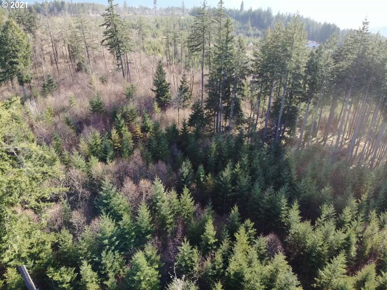 Berge Stevenson, WA 98648 - Photo 7 of 11 Gallery Image 7