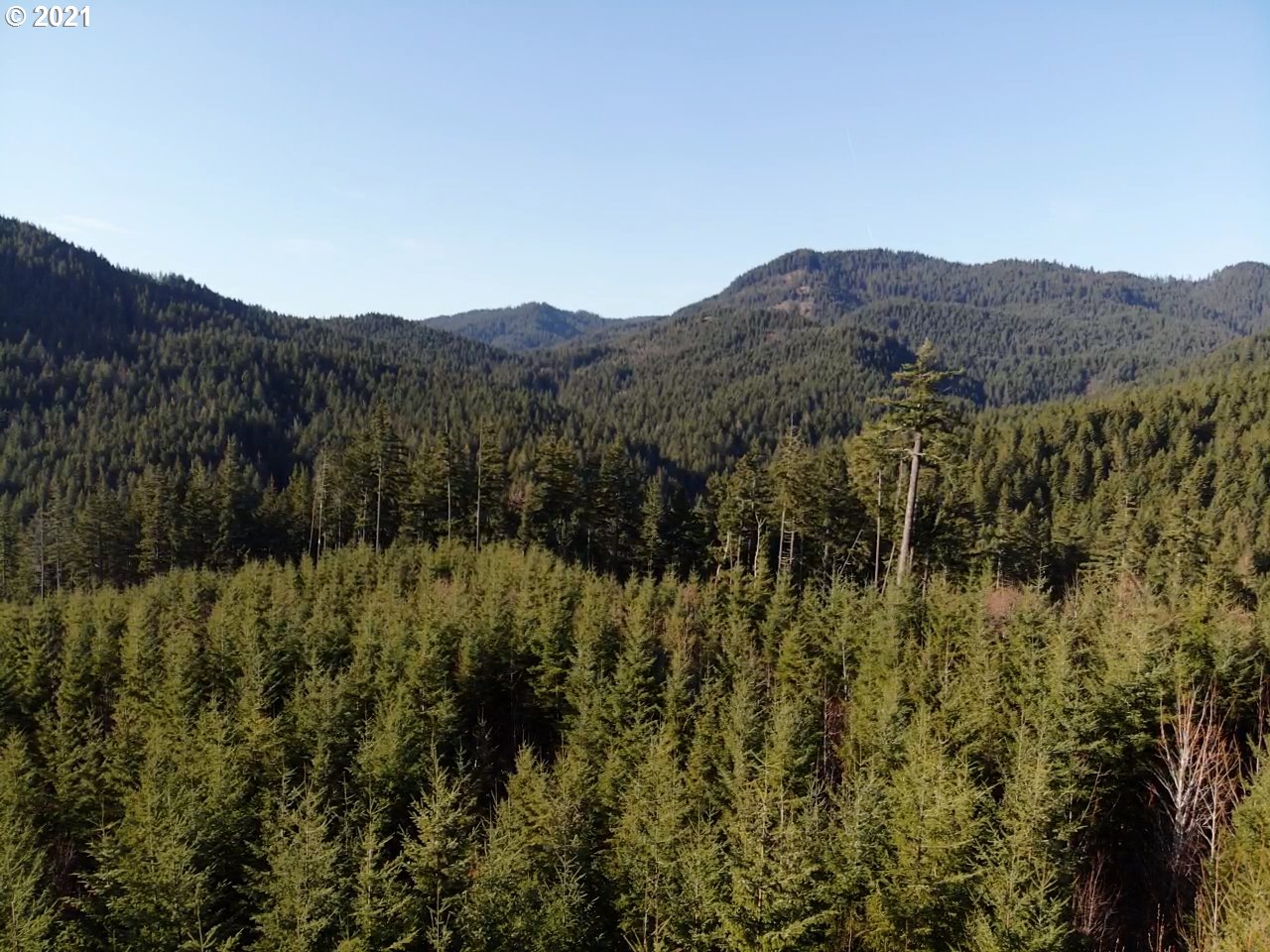 Berge Stevenson, WA 98648 - Photo 10 of 11 Gallery Image 10