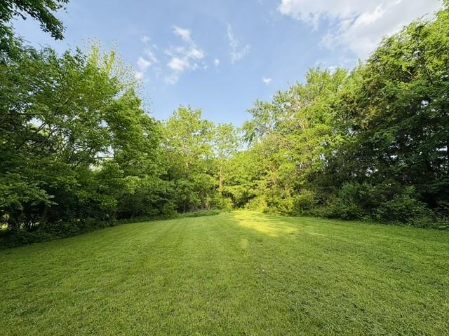 1136 Pierce Road Madison, TN 37115 - Photo 56 of 63 a view of yard with green space