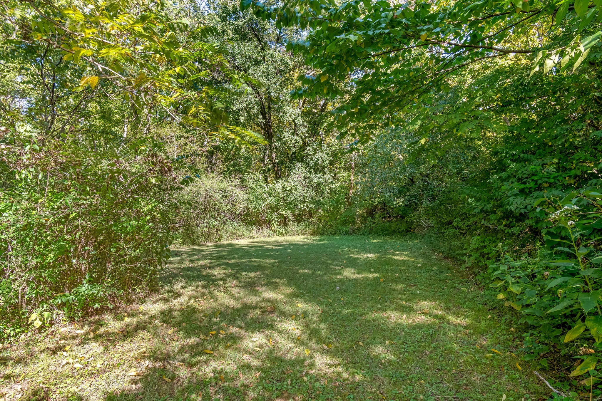 1136 Pierce Road Madison, TN 37115 - Photo 61 of 63 a view of a yard with a tree