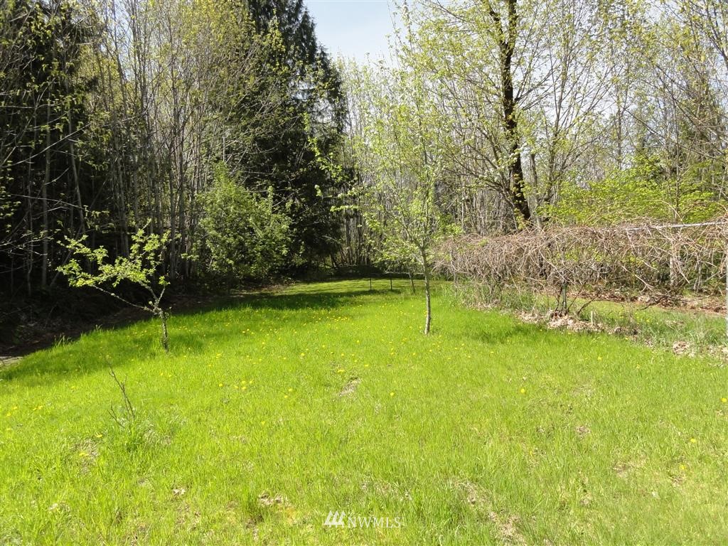854 Cline Road Randle, WA 98377 - Photo 17 of 23 Gallery Image 17