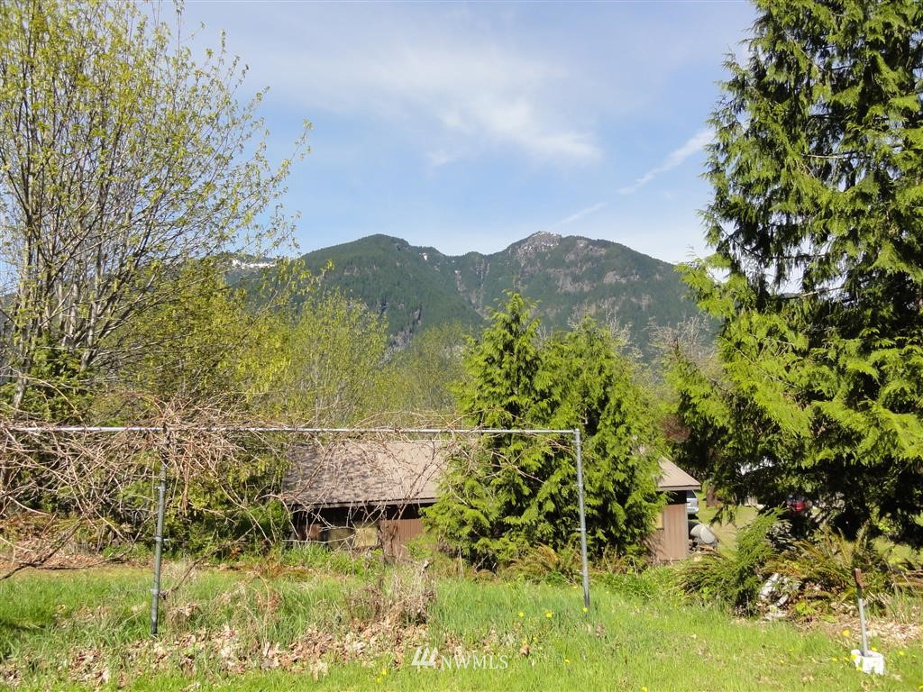 854 Cline Road Randle, WA 98377 - Photo 18 of 23 Gallery Image 18