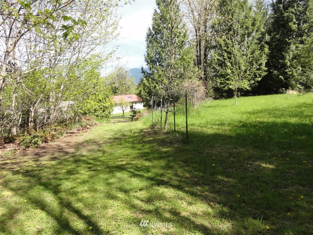 854 Cline Road Randle, WA 98377 - Photo 19 of 23 Gallery Image 19