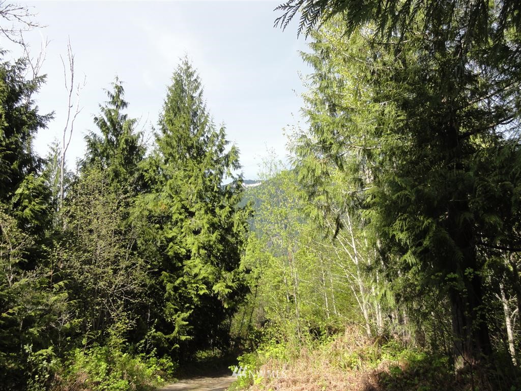 854 Cline Road Randle, WA 98377 - Photo 21 of 23 Gallery Image 21