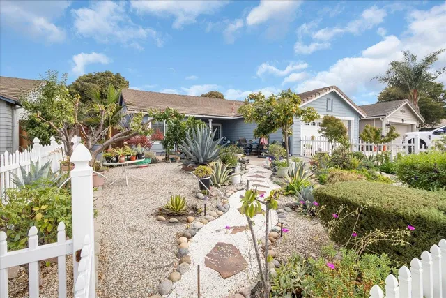 a view of a garden with a fountain
