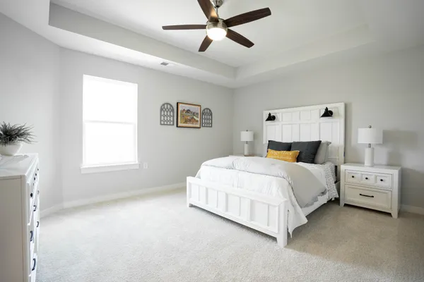 a bedroom with a bed and ceiling fan
