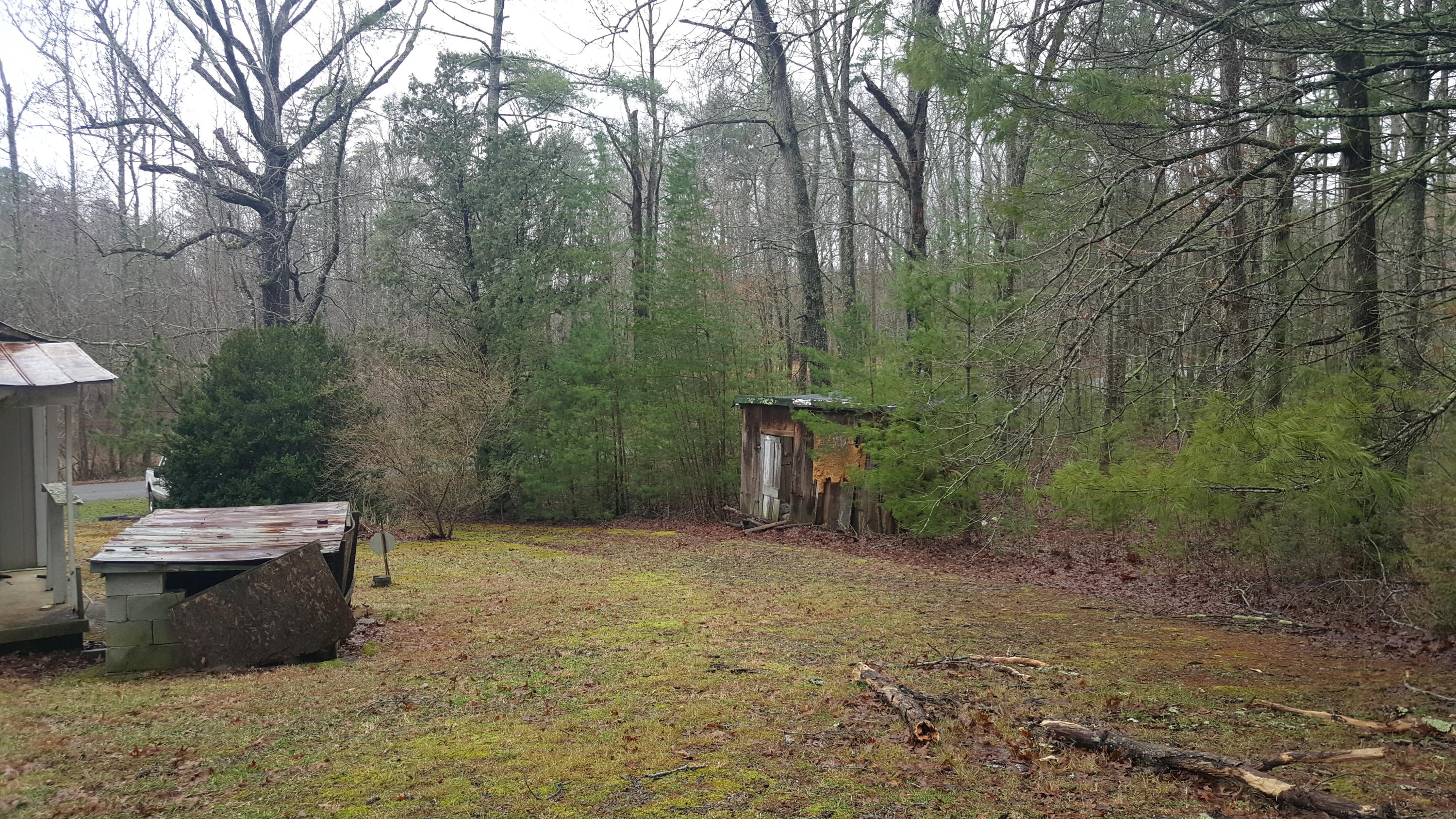 830 Epperson Road Tellico Plains, TN 37385 - Photo 13 of 19 20200212_123136