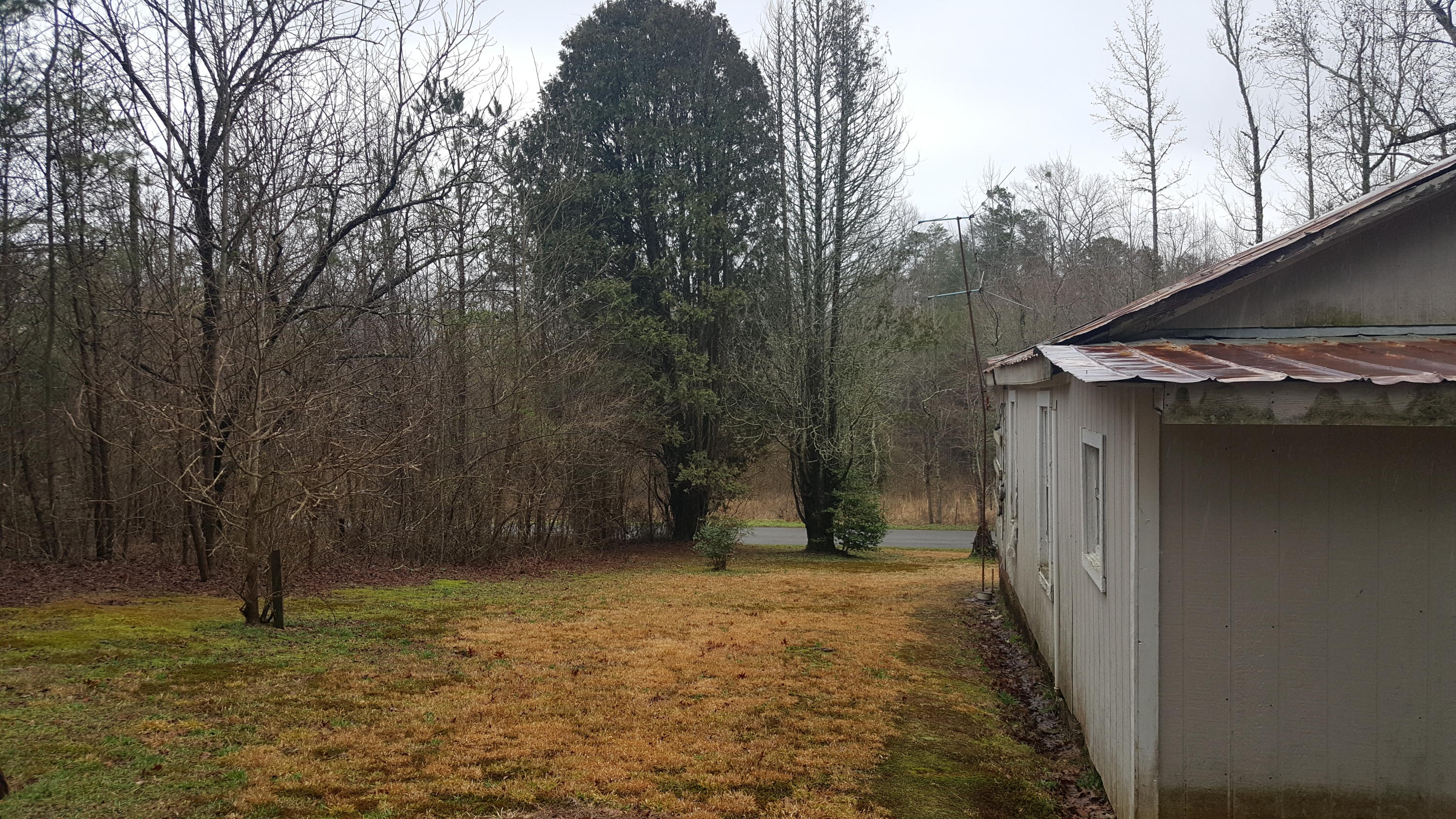 830 Epperson Road Tellico Plains, TN 37385 - Photo 15 of 19 20200212_123154
