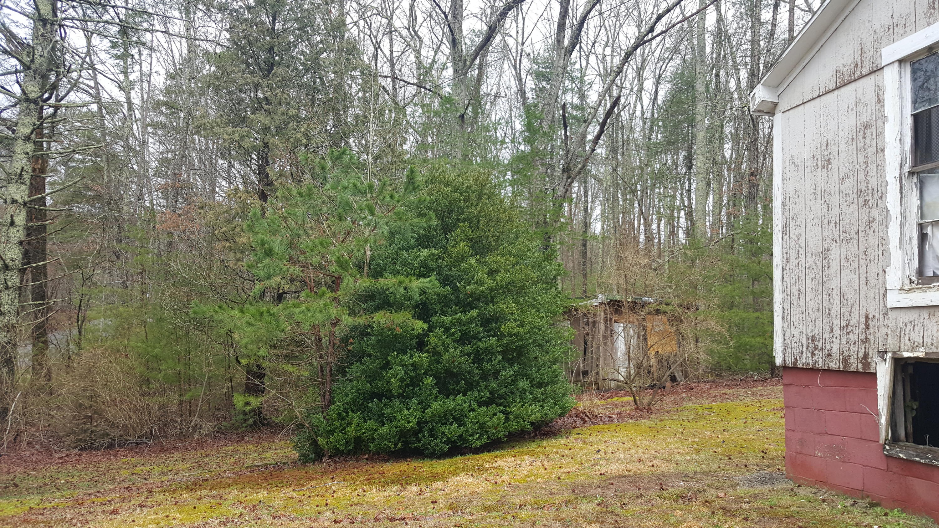 830 Epperson Road Tellico Plains, TN 37385 - Photo 17 of 19 20200212_123302