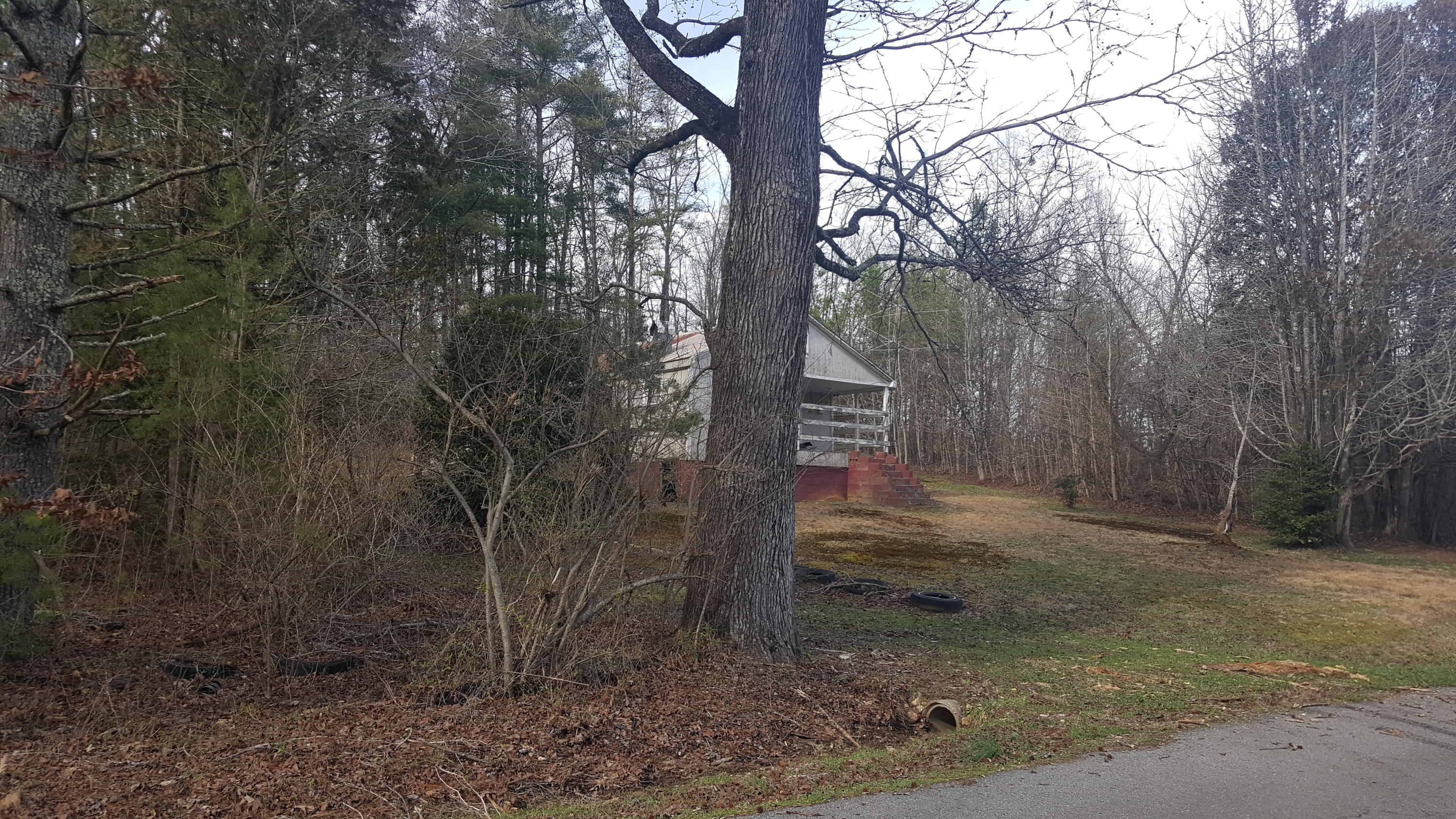 830 Epperson Road Tellico Plains, TN 37385 - Photo 18 of 19 20200215_151043