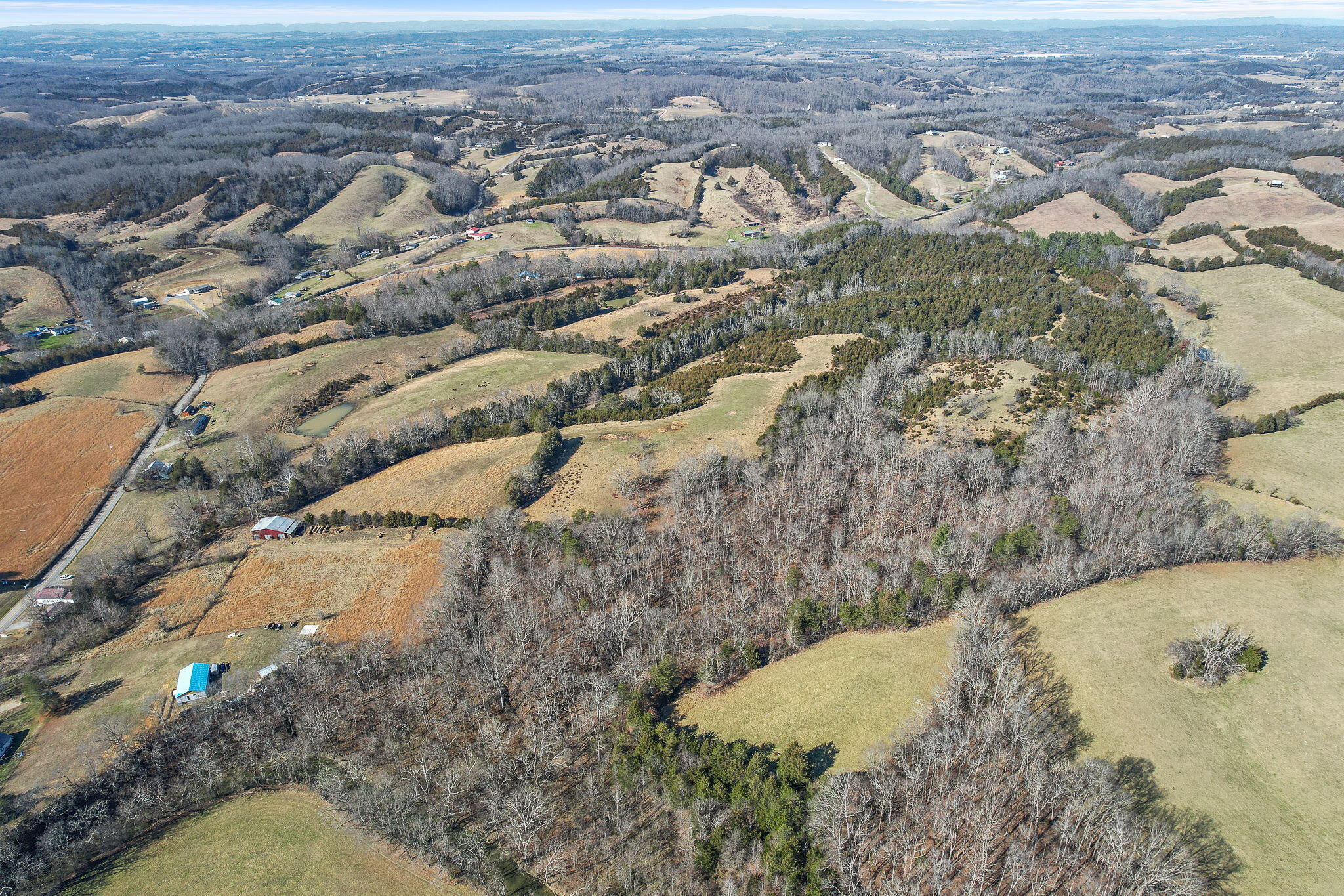 Tbd Sinking Springs Road Midway, TN 37809 - Photo 11 of 11 7-web-or-mls-Sinking Springs Rd 7