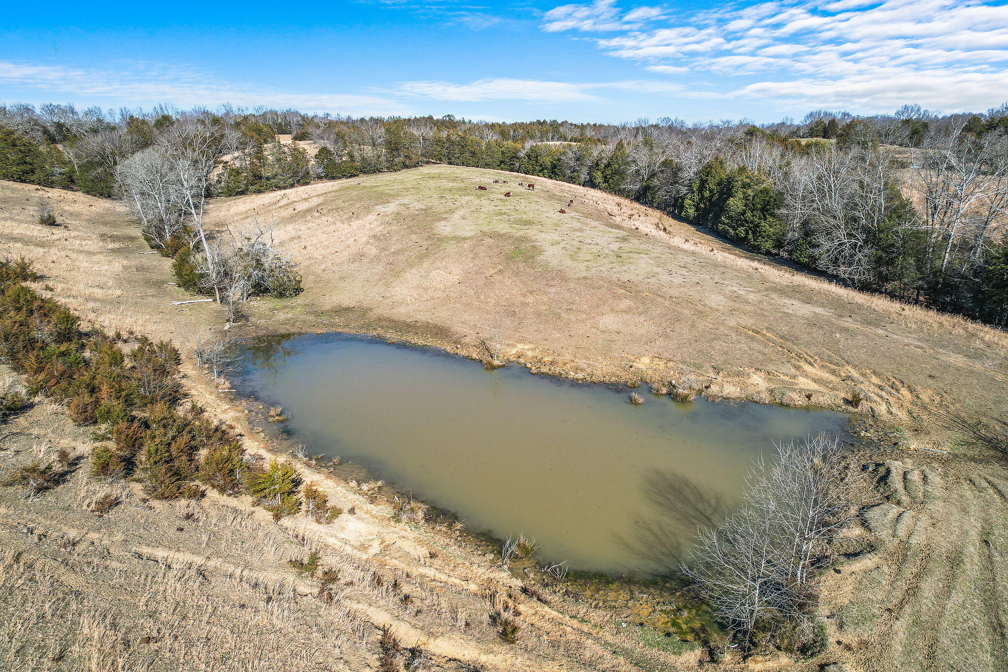 Tbd Sinking Springs Road Midway, TN 37809 - Photo 6 of 11 3-web-or-mls-Sinking Springs Rd 3