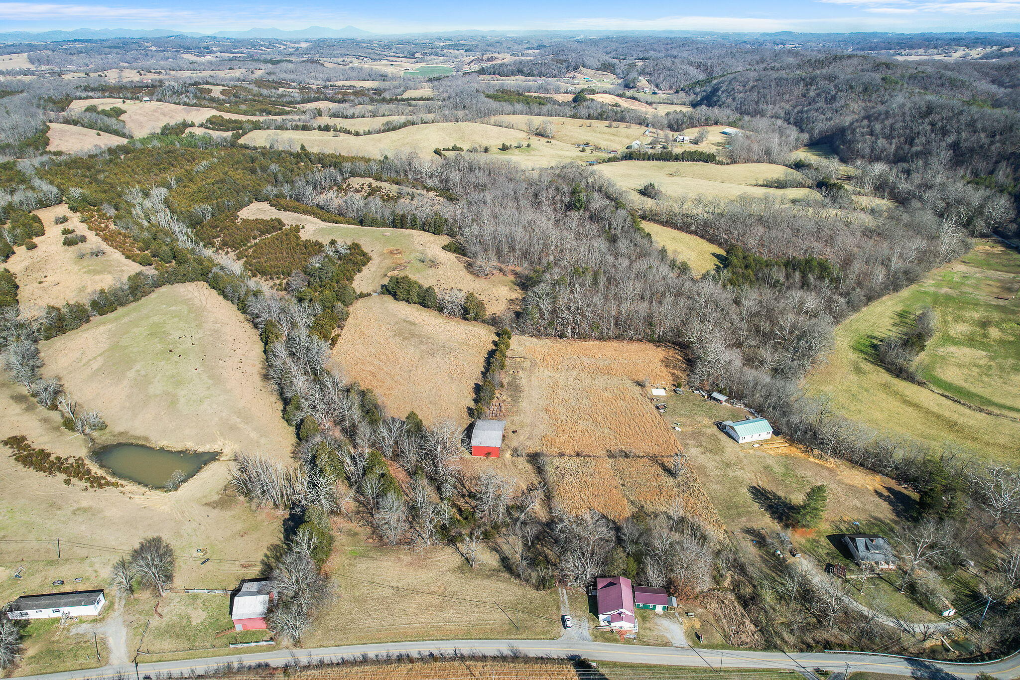 Tbd Sinking Springs Road Midway, TN 37809 - Photo 7 of 11 1-web-or-mls-Sinking Springs Rd 1
