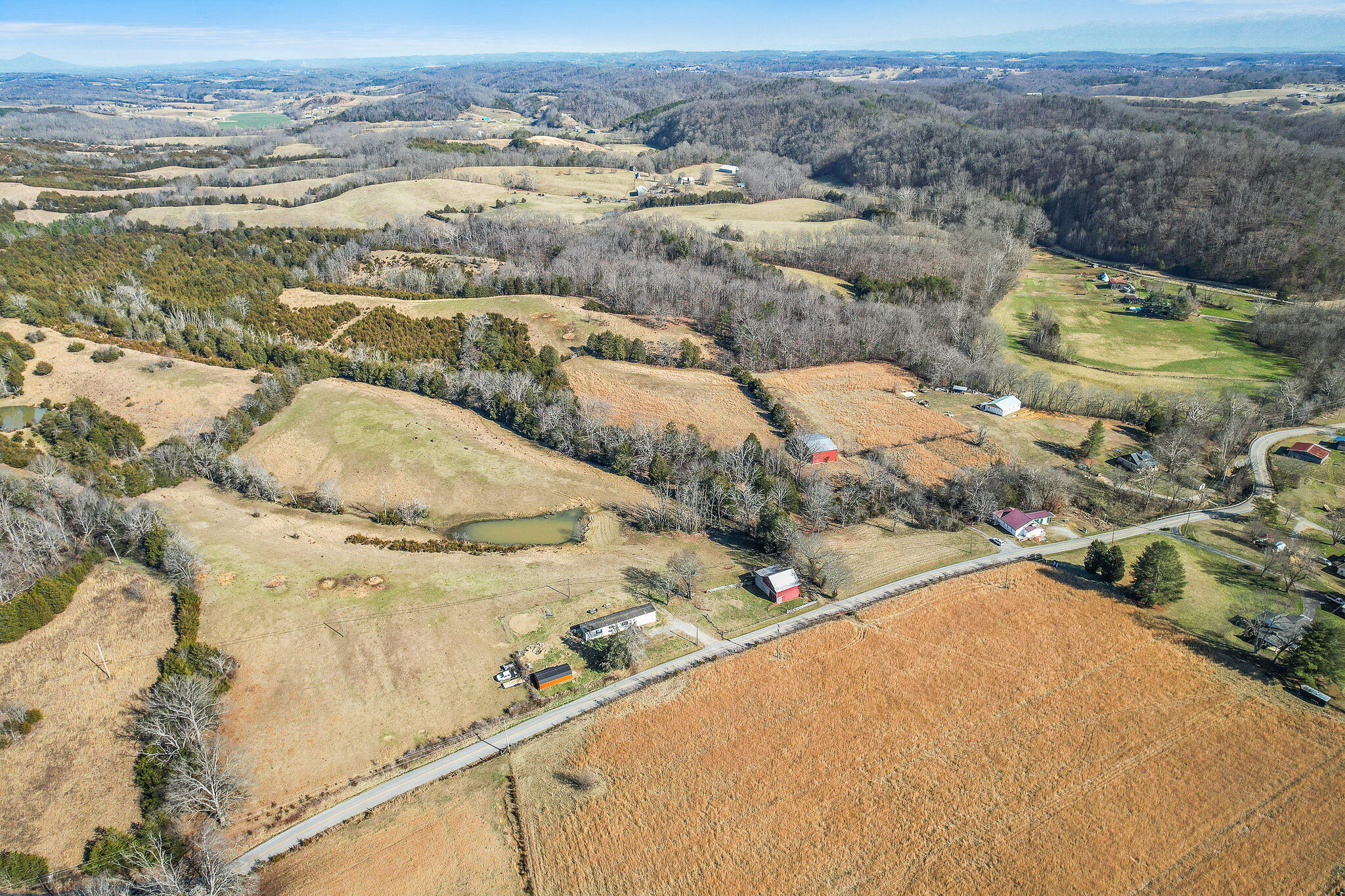 Tbd Sinking Springs Road Midway, TN 37809 - Photo 10 of 11 2-web-or-mls-Sinking Springs Rd 2