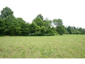 Lot 2-3 Surber Road Poland, IN 47460 - Photo 1 of 1