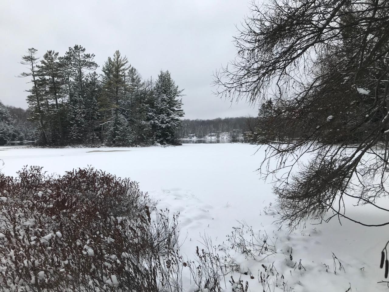 On East Pickerel Lake Road Gleason, WI 54435 - Photo 1 of 5 Gallery Image 1