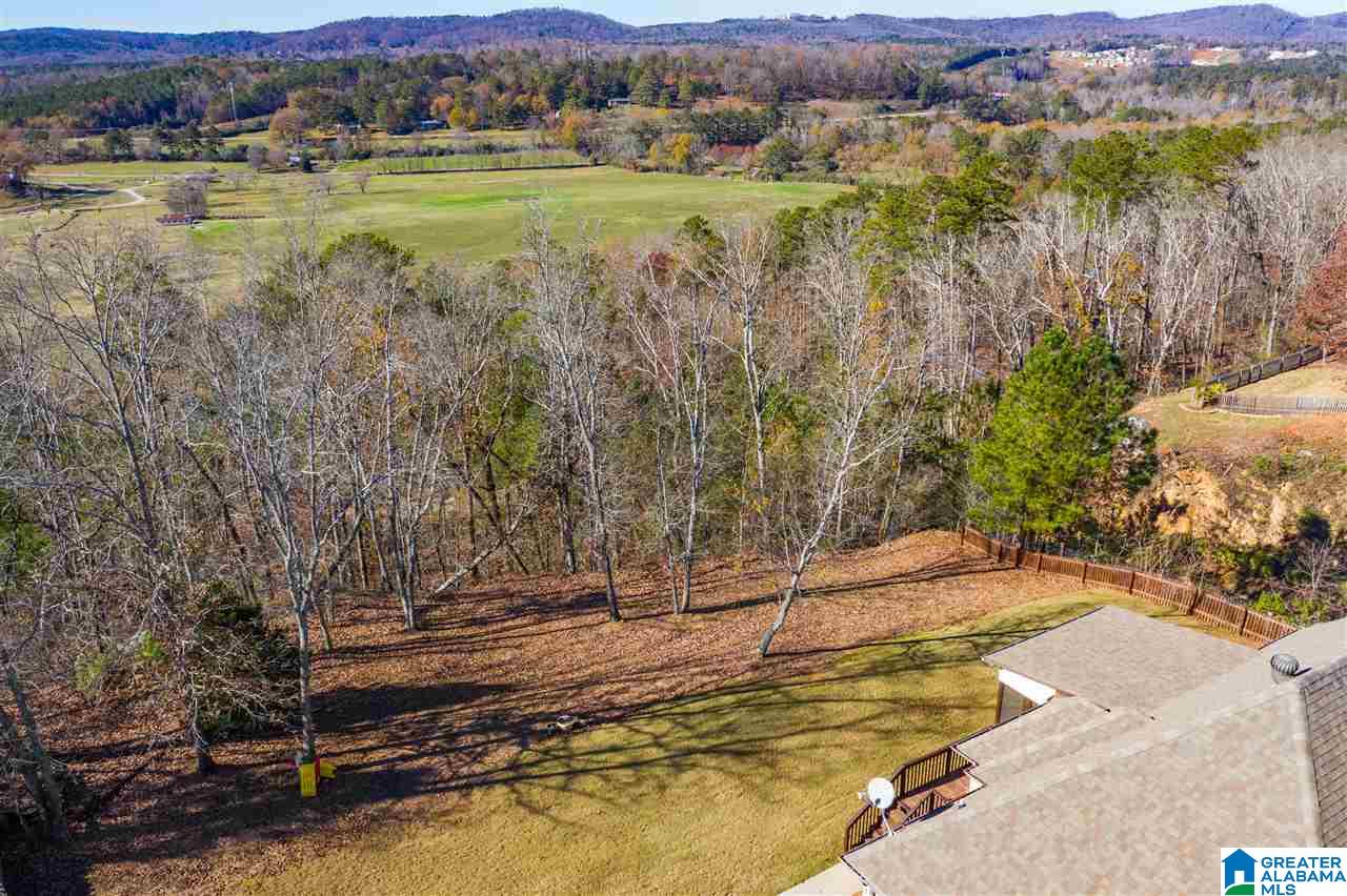 1345 Hickory Valley Road Trussville, AL 35173 - Photo 40 of 43