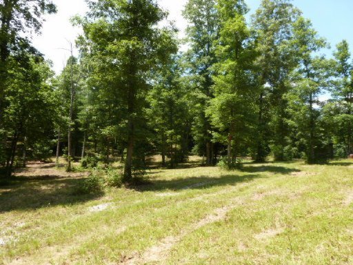 3533 Mt Helen Road Allardt, TN 38504 - Photo 1 of 37 Primary Photo