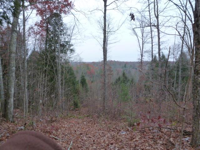 3533 Mt Helen Road Allardt, TN 38504 - Photo 2 of 37 P1090044