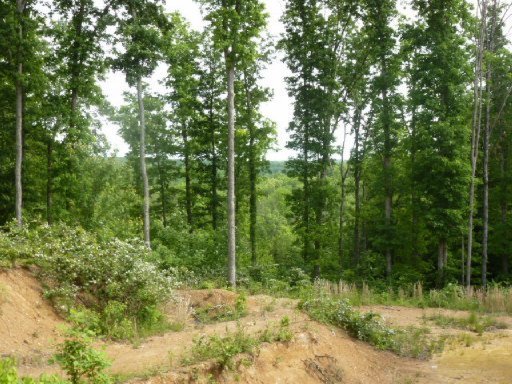 3533 Mt Helen Road Allardt, TN 38504 - Photo 12 of 37 Additional Photo