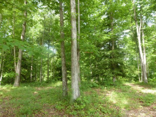 3533 Mt Helen Road Allardt, TN 38504 - Photo 15 of 37 Additional Photo