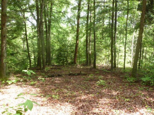 3533 Mt Helen Road Allardt, TN 38504 - Photo 16 of 37 Additional Photo