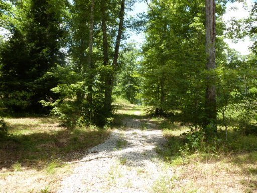3533 Mt Helen Road Allardt, TN 38504 - Photo 20 of 37 Additional Photo