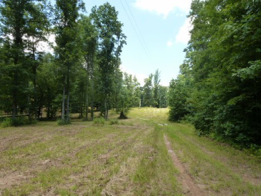 3533 Mt Helen Road Allardt, TN 38504 - Photo 3 of 37 Additional Photo