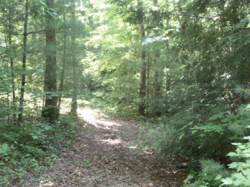 3533 Mt Helen Road Allardt, TN 38504 - Photo 21 of 37 Additional Photo