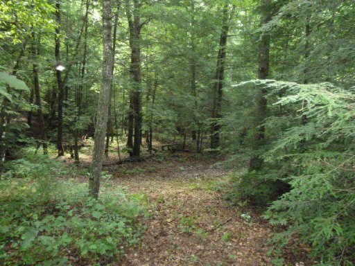 3533 Mt Helen Road Allardt, TN 38504 - Photo 22 of 37 Additional Photo