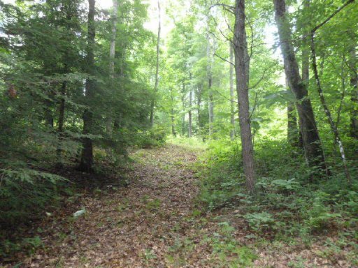 3533 Mt Helen Road Allardt, TN 38504 - Photo 24 of 37 Additional Photo