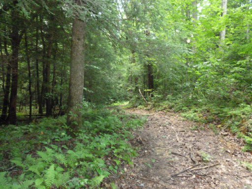 3533 Mt Helen Road Allardt, TN 38504 - Photo 25 of 37 Additional Photo