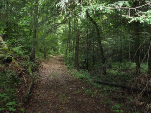 3533 Mt Helen Road Allardt, TN 38504 - Photo 26 of 37 Additional Photo