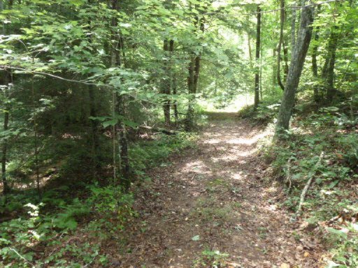 3533 Mt Helen Road Allardt, TN 38504 - Photo 27 of 37 Additional Photo
