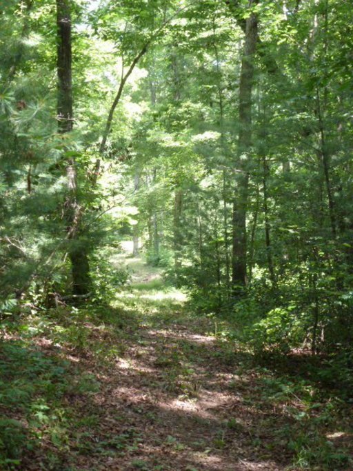 3533 Mt Helen Road Allardt, TN 38504 - Photo 29 of 37 Additional Photo