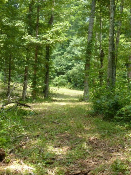 3533 Mt Helen Road Allardt, TN 38504 - Photo 30 of 37 Additional Photo