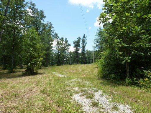 3533 Mt Helen Road Allardt, TN 38504 - Photo 4 of 37 Additional Photo