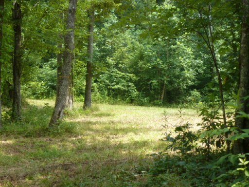 3533 Mt Helen Road Allardt, TN 38504 - Photo 31 of 37 Additional Photo