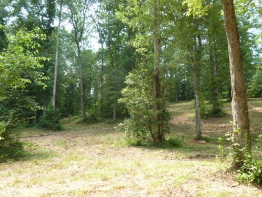 3533 Mt Helen Road Allardt, TN 38504 - Photo 32 of 37 Additional Photo