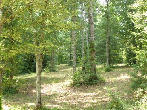 3533 Mt Helen Road Allardt, TN 38504 - Photo 33 of 37 Additional Photo
