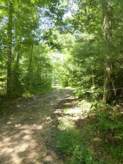 3533 Mt Helen Road Allardt, TN 38504 - Photo 34 of 37 Additional Photo