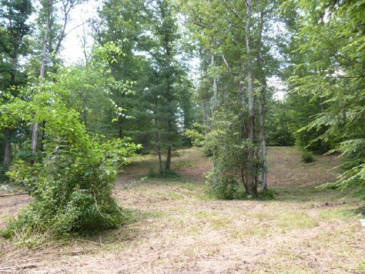 3533 Mt Helen Road Allardt, TN 38504 - Photo 35 of 37 Additional Photo