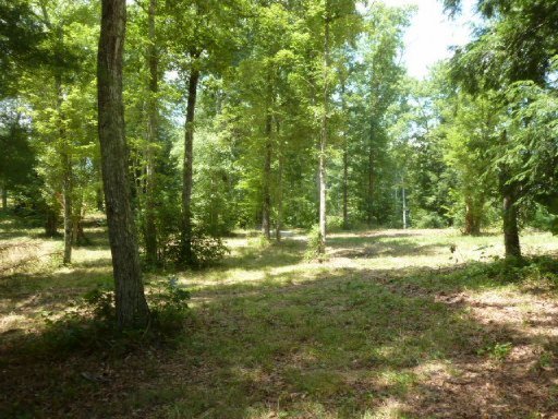 3533 Mt Helen Road Allardt, TN 38504 - Photo 36 of 37 Additional Photo