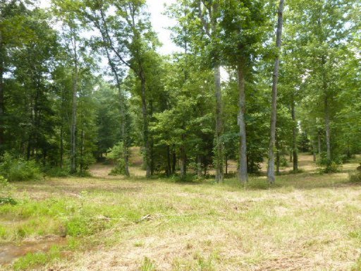 3533 Mt Helen Road Allardt, TN 38504 - Photo 5 of 37 Additional Photo